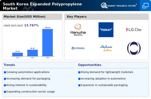 South Korea Expanded Polypropylene Market Infographic