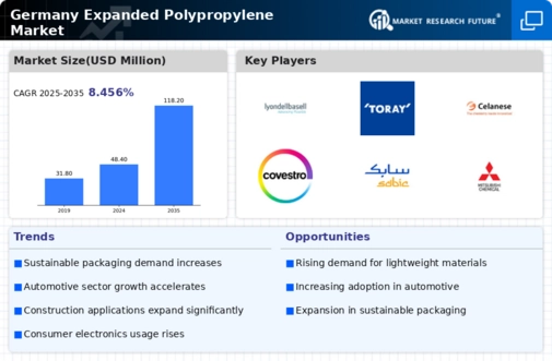 Germany Expanded Polypropylene Market Infographic
