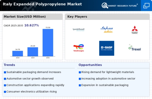 Italy Expanded Polypropylene Market Infographic