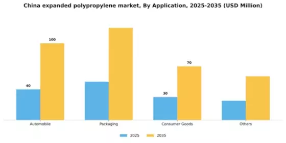 China Expanded Polypropylene Market Segment Image 0