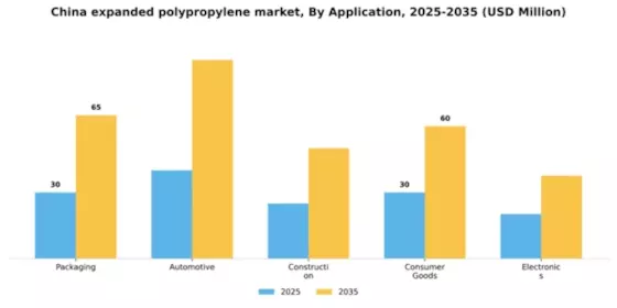 China Expanded Polypropylene Market Segment Image 0