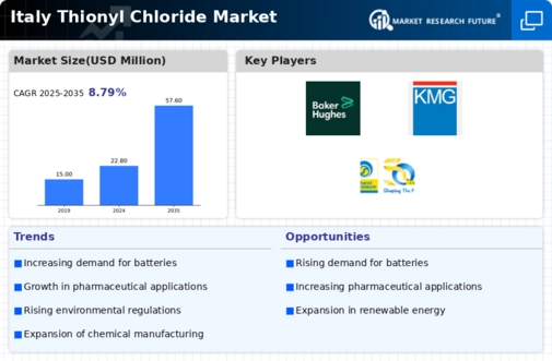 Italy Thionyl Chloride Market Infographic