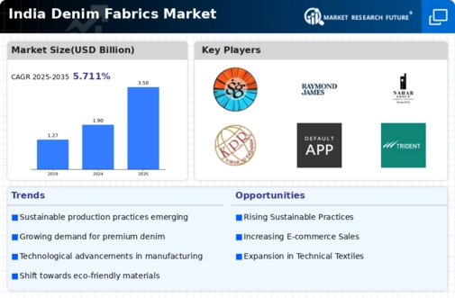 India Denim Fabrics Market Infographic