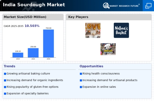India Sourdough Market Infographic