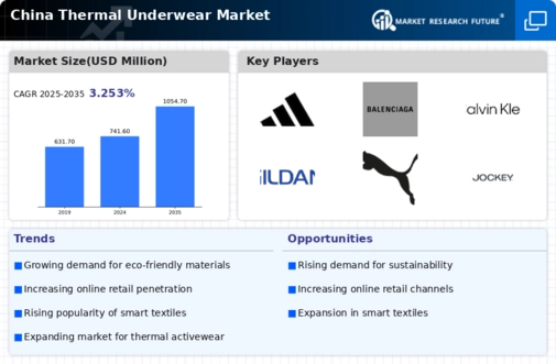 China Thermal Underwear Market Infographic