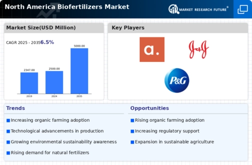 North America Biofertilizers Market Infographic