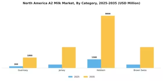 North America A2 Milk Market Segment Image 0