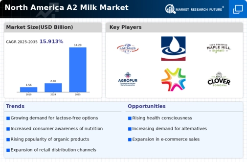 North America A2 Milk Market Infographic
