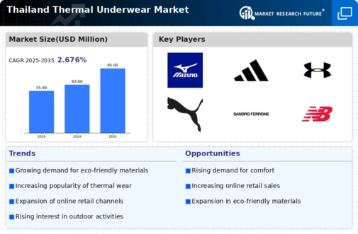 Thailand Thermal Underwear Market Infographic