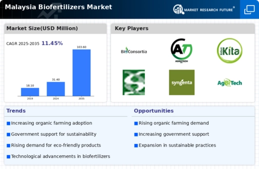 Malaysia Biofertilizers Market Infographic