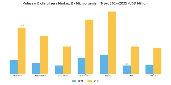 Malaysia Biofertilizers Market Segment Image 4