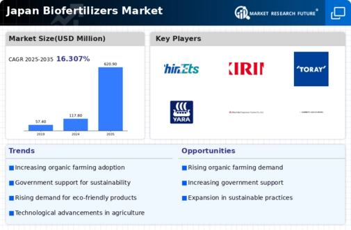 Japan Biofertilizers Market Infographic