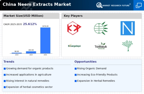 China Neem Extracts Market Infographic