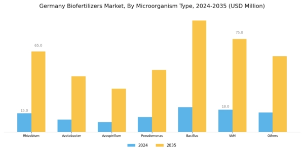 Germany Bio Fertilizers Market Segment Image 4