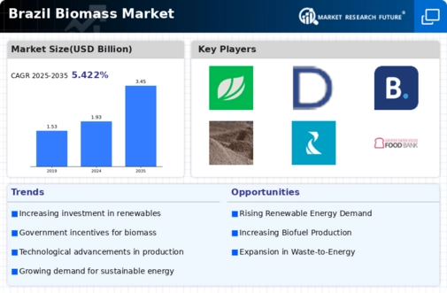 Brazil Biomass Market Infographic
