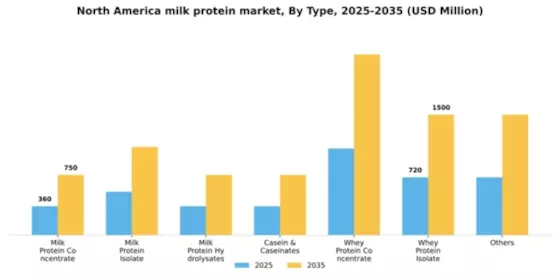 North America Milk Protein Market Segment Image 2