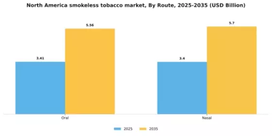 North America Smokeless Tobacco Market Segment Image 1