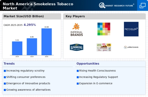 North America Smokeless Tobacco Market Infographic