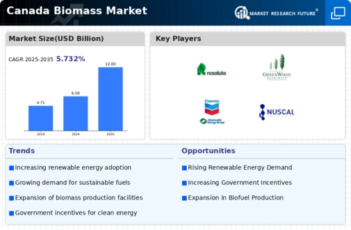 Canada Biomass Market Infographic