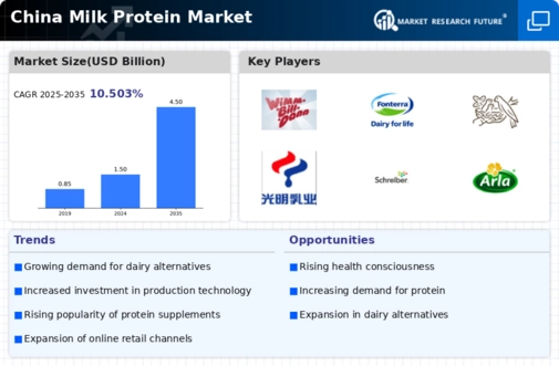China Milk Protein Market Infographic