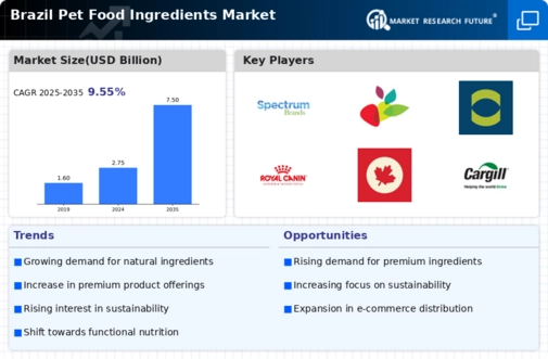 Brazil Pet Food Ingredients Market Infographic