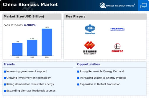 China Biomass Market Infographic