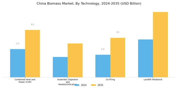 China Biomass Market Segment Image 1