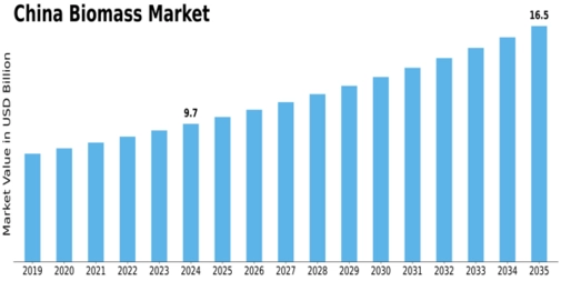 China Biomass Market Size