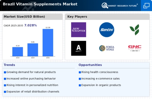 Brazil Vitamin Supplements Market
 Infographic