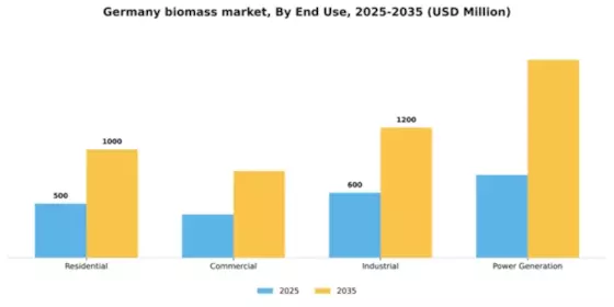 Germany Biomass Market Segment Image 1