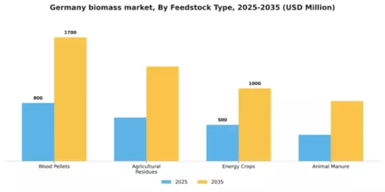 Germany Biomass Market Segment Image 2