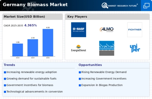 Germany Biomass Market Infographic