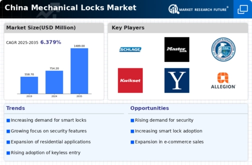 China Mechanical Locks Market Infographic