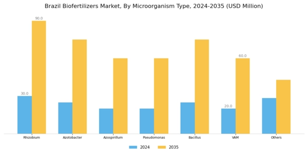 Brazil Biofertilizers Market Segment Image 4