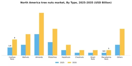 North America Tree Nuts Market
 Segment Image 3