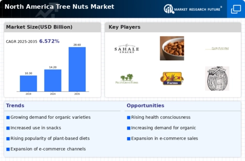 North America Tree Nuts Market
 Infographic