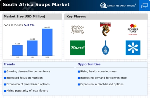 South Africa Soups Market Infographic