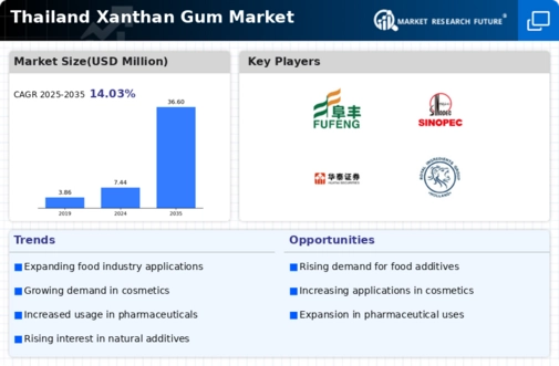 Thailand Xanthan Gum Market Infographic