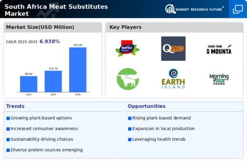 South Africa Meat Substitutes Market Infographic