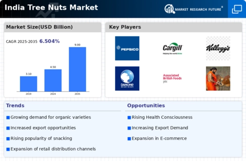 India Tree Nuts Market
 Infographic
