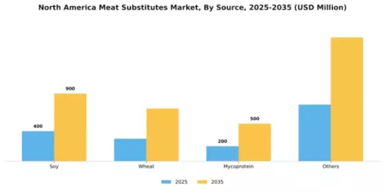North America Meat Substitutes Market Segment Image 2