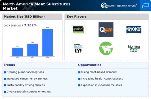 North America Meat Substitutes Market Infographic