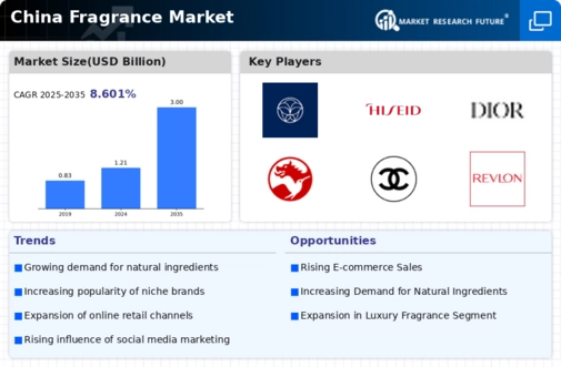 China Fragrance Market Infographic