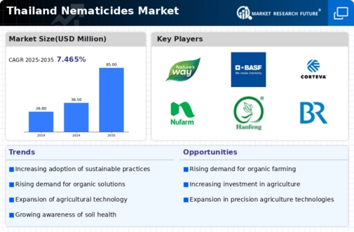 Thailand Nematicides Market Infographic