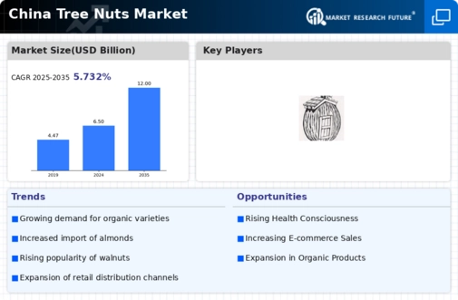 China Tree Nuts Market
 Infographic