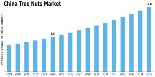 China Tree Nuts Market
 Size