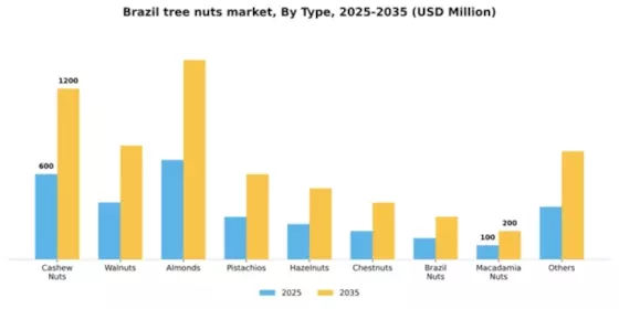 Brazil Tree Nuts Market Segment Image 3