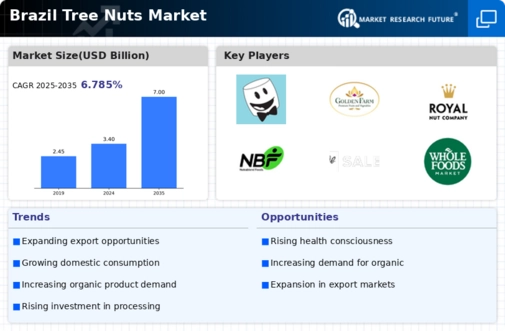 Brazil Tree Nuts Market
 Infographic