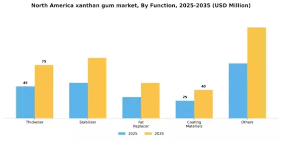 North America Xanthan Gum Market Segment Image 1