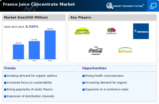 France Juice Concentrate Market Infographic